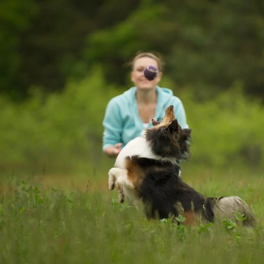 Furrific Dog Grooming