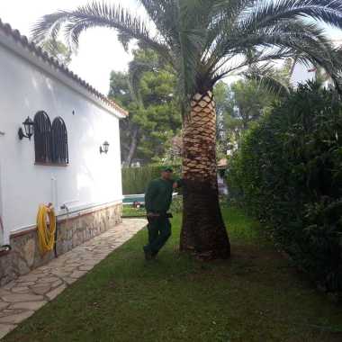 Jardines Ramírez