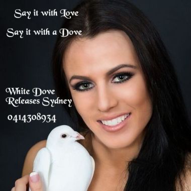 White Doves 'R' Us
