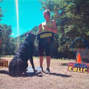 Corsica Dog'Educ