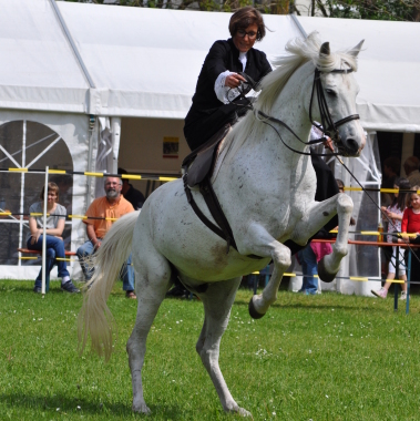 Reitlehrerin klassische Dressur