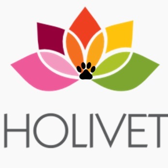 HOLIVET - Dra. Karen Maciel