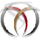 Alies Language Solutions Pvt Ltd