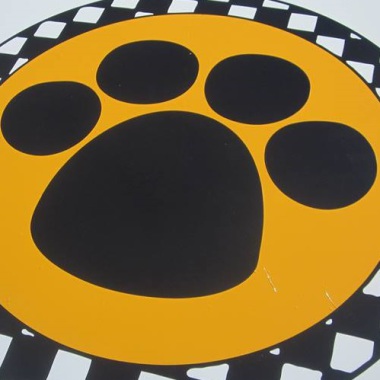 Pet  Taxi