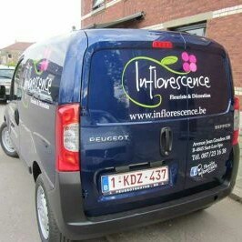 Inflorescence