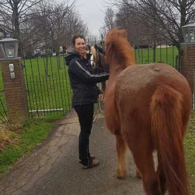 Paardenplezier