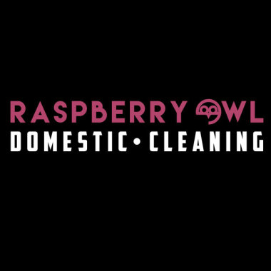 Raspberry Owl Domestic Cleaning