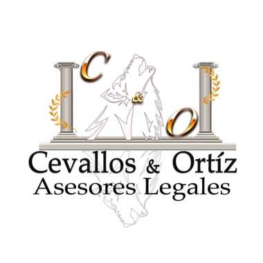 C&O Asesores Legales