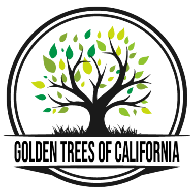 Golden Trees of California