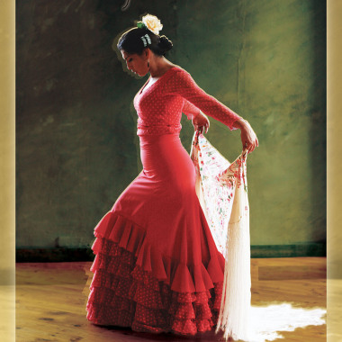 Puro Flamenco - Professeur de Danse