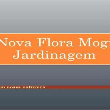 Nova Flora Mogi