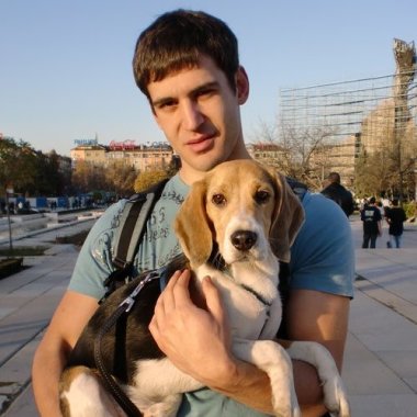 La Meilleure Promenade Pour Votre Chien