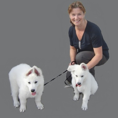 Hundeschule Vademecum Canis