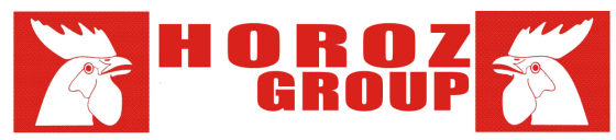 Horoz Group