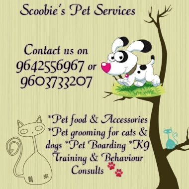 The Scoobies Pet Services