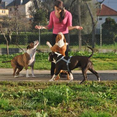 Pet sitter jogging canin