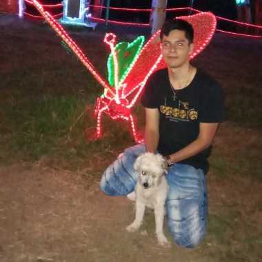Paseo perros
