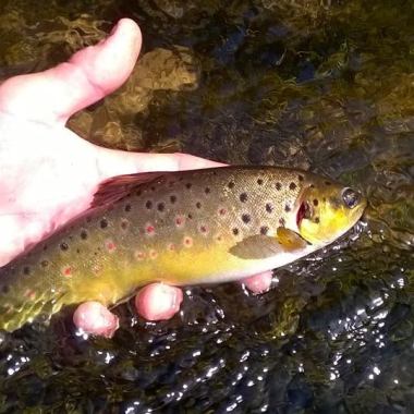 Nature2Pêcheurs