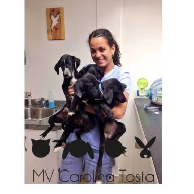 Fauno Doc Caro Tosta