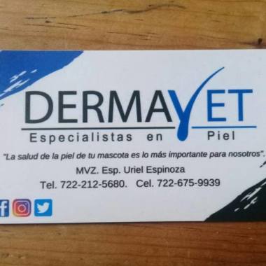 DERMAVET  Especialista en piel