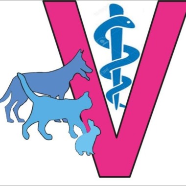 Centro veterinario del Real