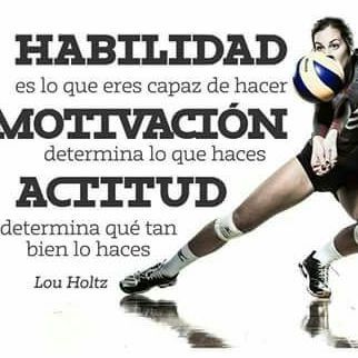 Entrenador voleibol
