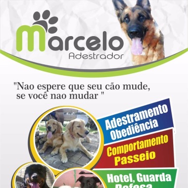Marcelo Adestrador