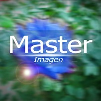 Master Imagen