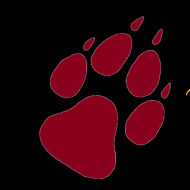 Welfare of Dogs