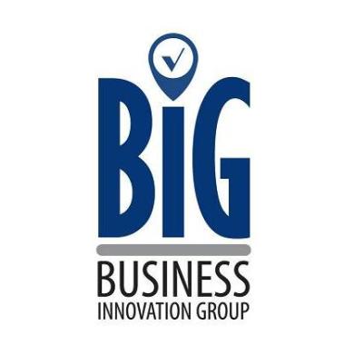 Business Innovation Group
