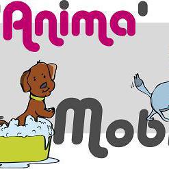L'Anima'Mobile