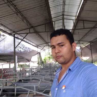 Asistencias técnicas