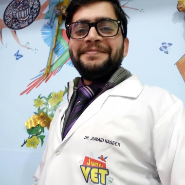JUNNI VET'S VETERINARY CLINIC