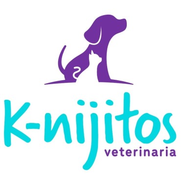 Zendog Educación Canina