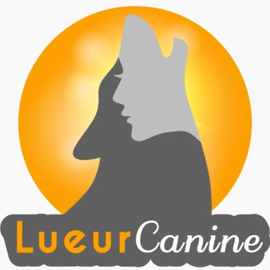 Lueur Canine - Educateur canin