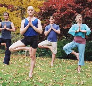 The Dunedin Yoga Studio