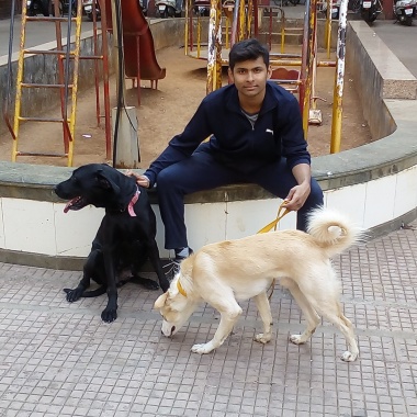 Natu’s Dog  Training services
