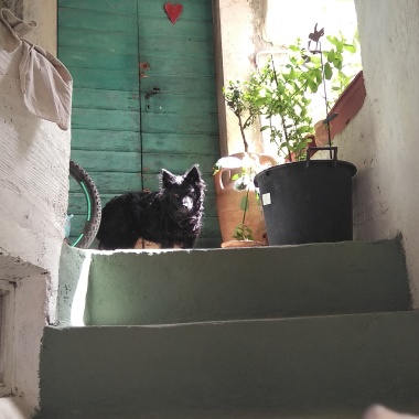 Perac Aute