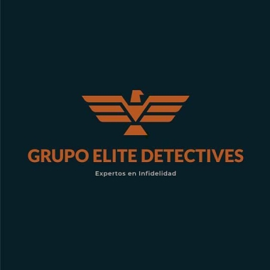 Grupo Elite Detectives