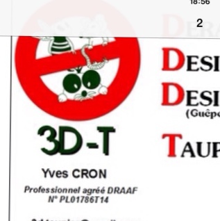 3D-T