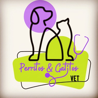 PERRITOS Y GATITOS VET