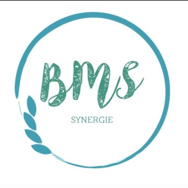 BMS SYNERGIE