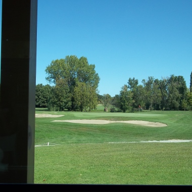 Professionista di golf