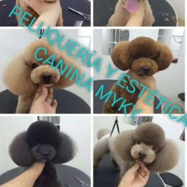 Peluquería y estética canina myky