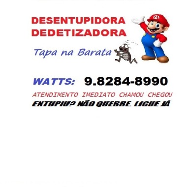 Desentupidora tapa na barata