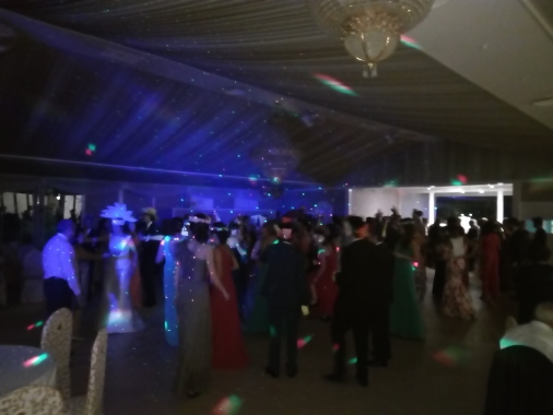 Promusic eventos