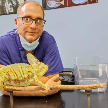 Clinica Veterinaria Borgo Nuovo