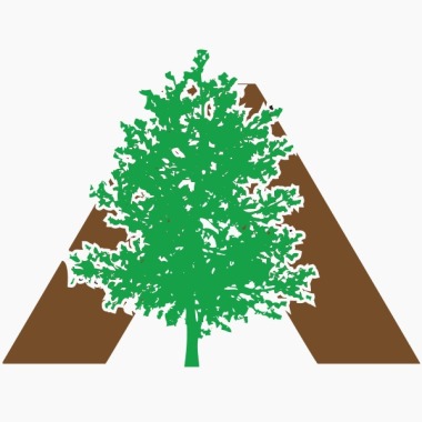 Arbor Gabinet Psychoterapii