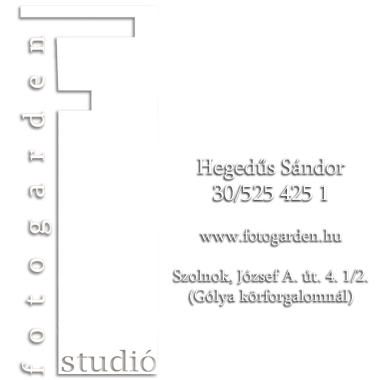 Fotogarden Studió, Hegedűs Sándor EV
