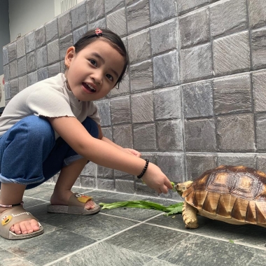 Muhammad Ary Ibrahim